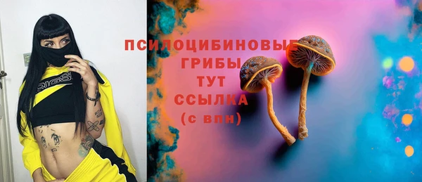 прущие грибы Алексин