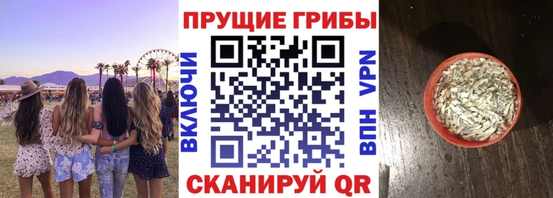 KRAKEN сайт  как найти   Магнитогорск  Галлюциногенные грибы мицелий 